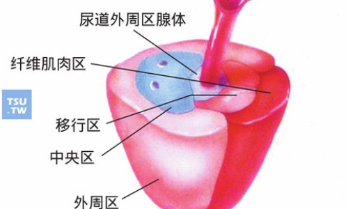 肾炎舒胶囊的说明书网—知名的肾炎舒片副作用与禁忌网站,分享肾炎舒片配方详解知识