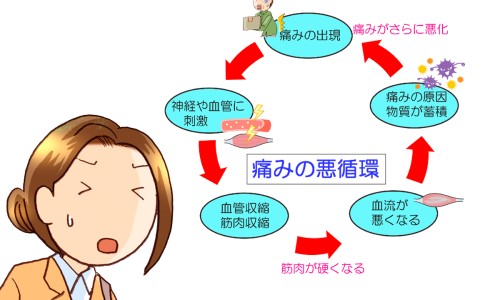 肾炎舒胶囊功在哪里可以买到-肾炎舒胶囊的说明书网—知名的肾炎舒片副作用与禁忌网站,分享肾炎舒片配方详解知识